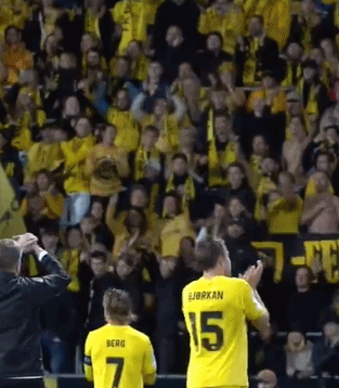 支征战欧冠, 他们将落位, net 支征战欧冠, 他们将落位, net