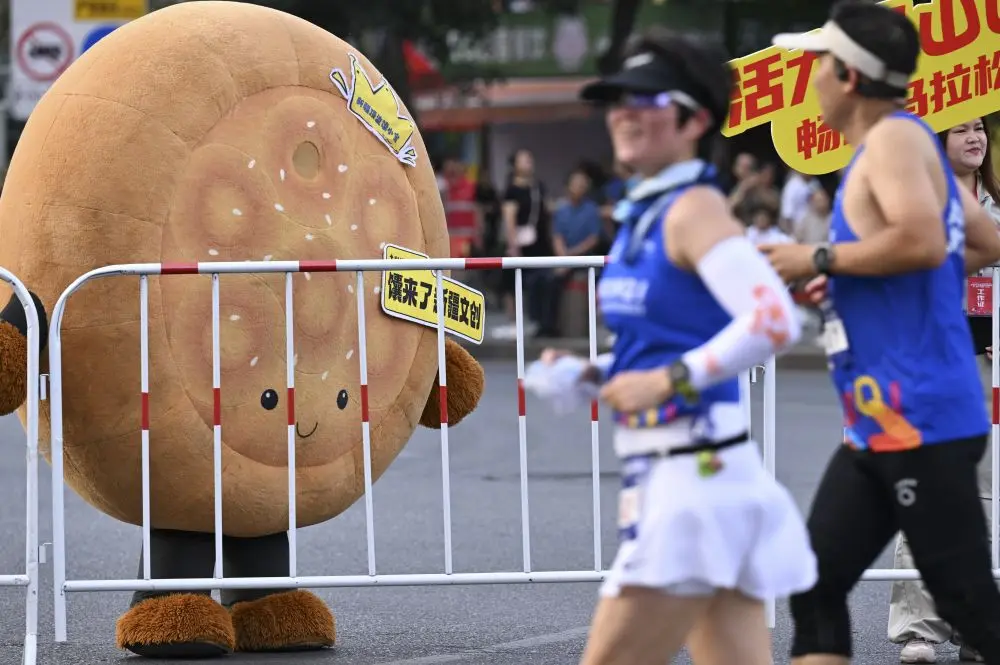 委会引入, 和约
