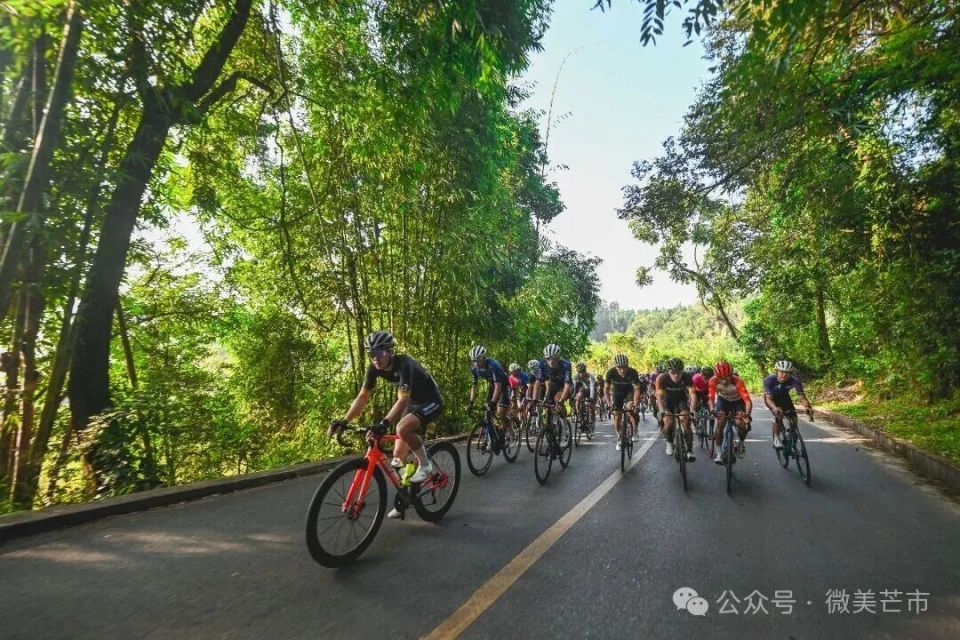 车节德宏芒 车节德宏芒