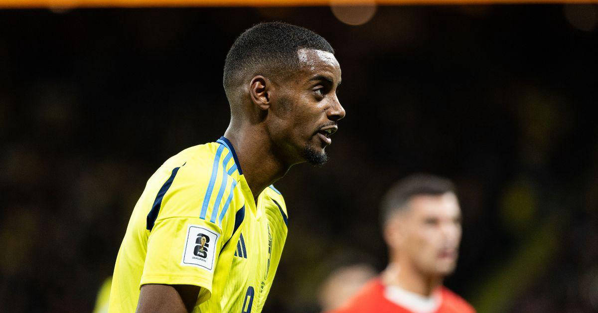 斯尼克, 迷们的广泛