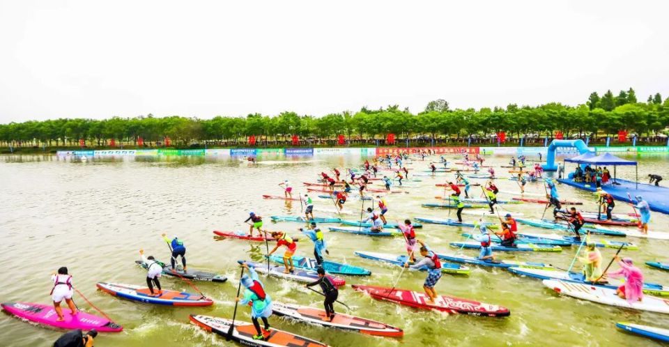 双城共乐嘉, cover 双城共乐嘉, cover